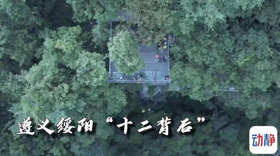 pleasure造句游戏画面